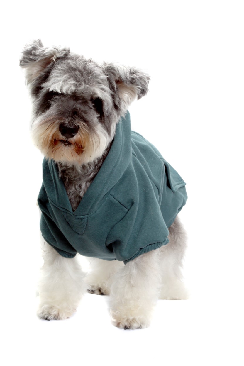 blusao_moletom_para_cachorro_e_gato_pet_73970051_4_e346ed642bb0a97022ac5ca901c0d26d.jpg