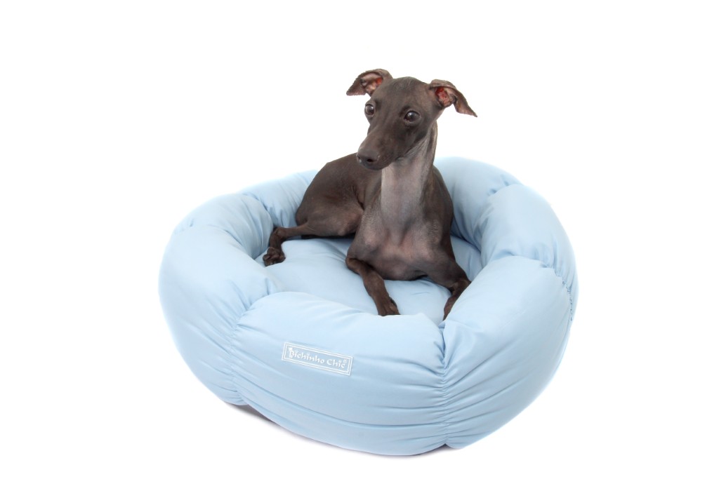 Cama Flor Azul (5)
