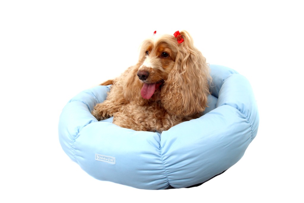 Cama Flor Azul (7)