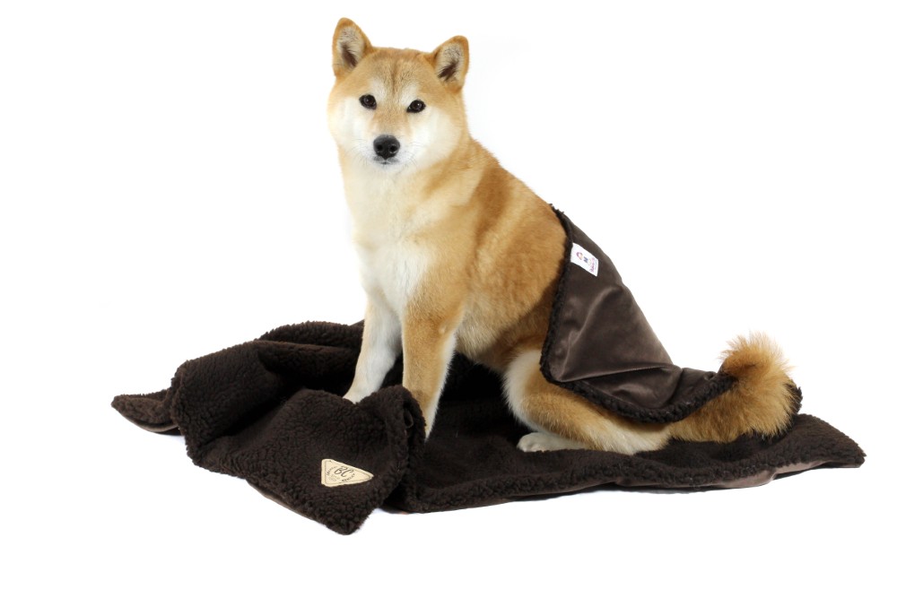 Cobertor-Puppy-Marrom-1