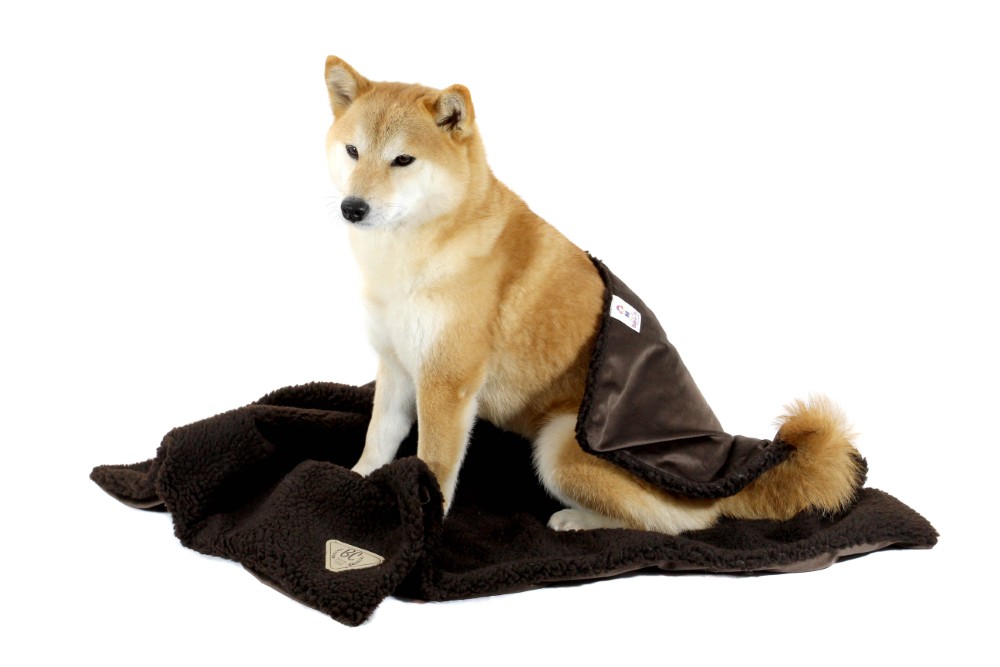 Cobertor-Puppy-Marrom-2