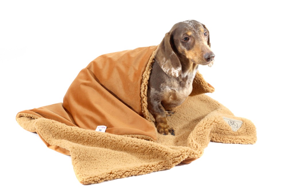 Cobertor-Puppy-Terracota-1